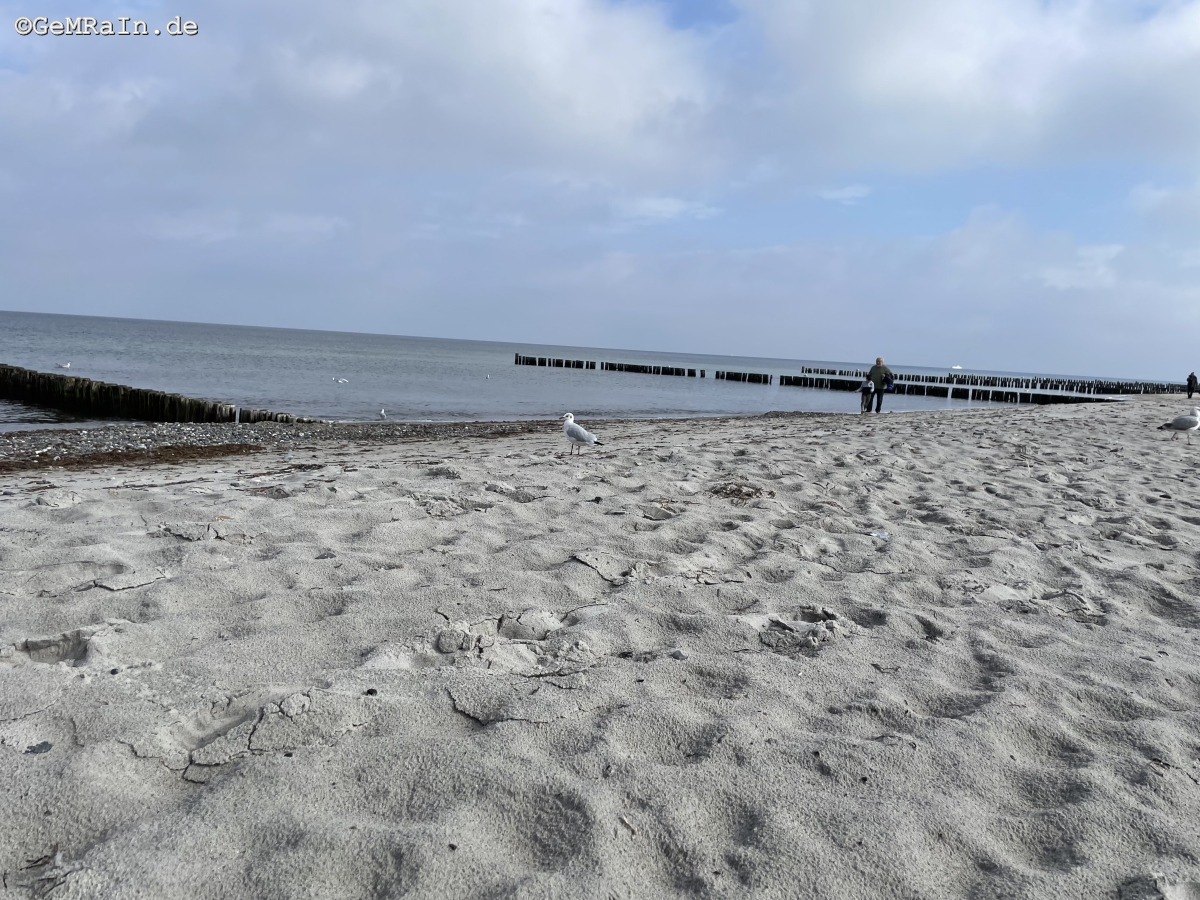 Prignitz2022-09-0672