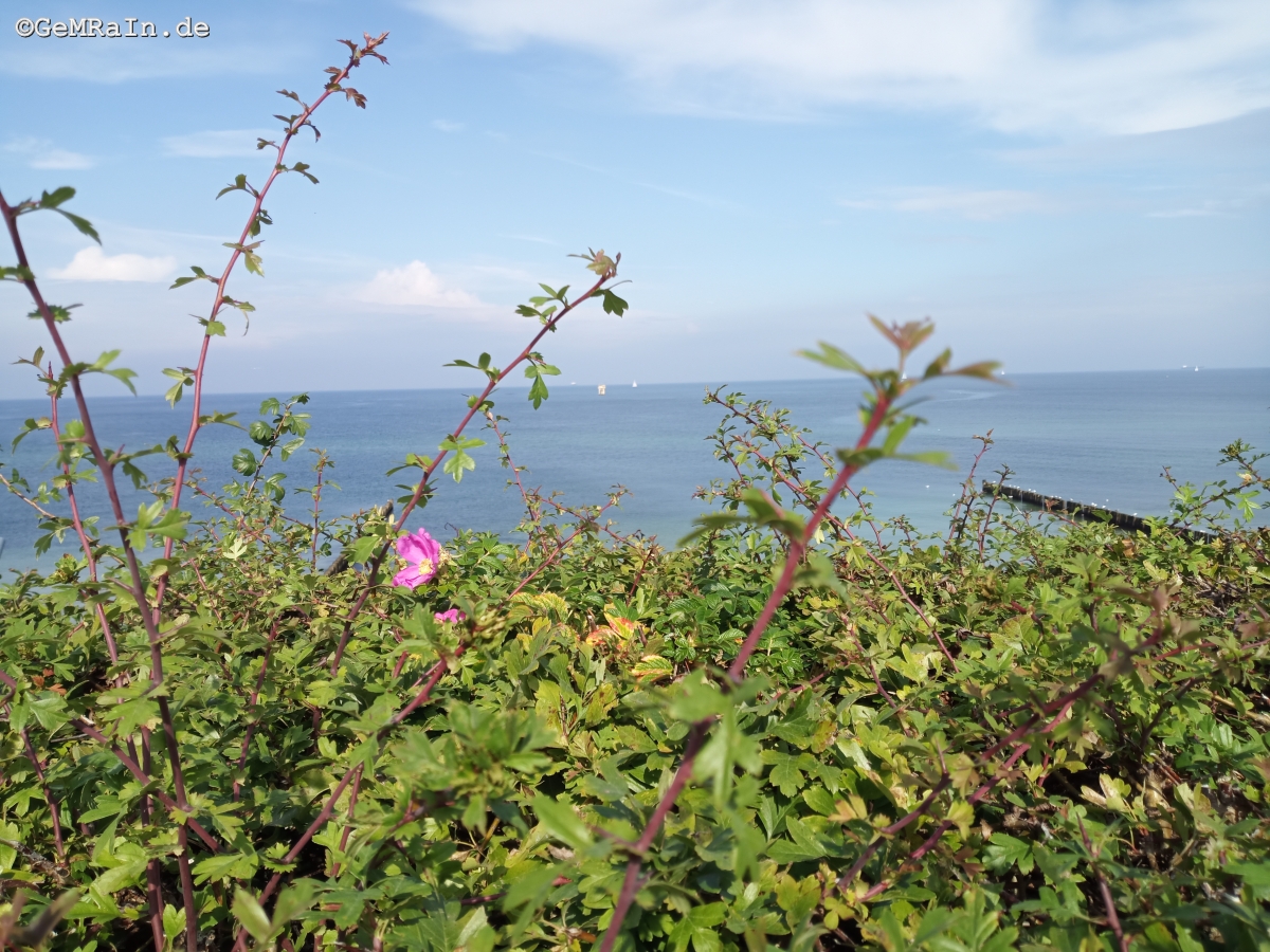 Prignitz2022-09-0696