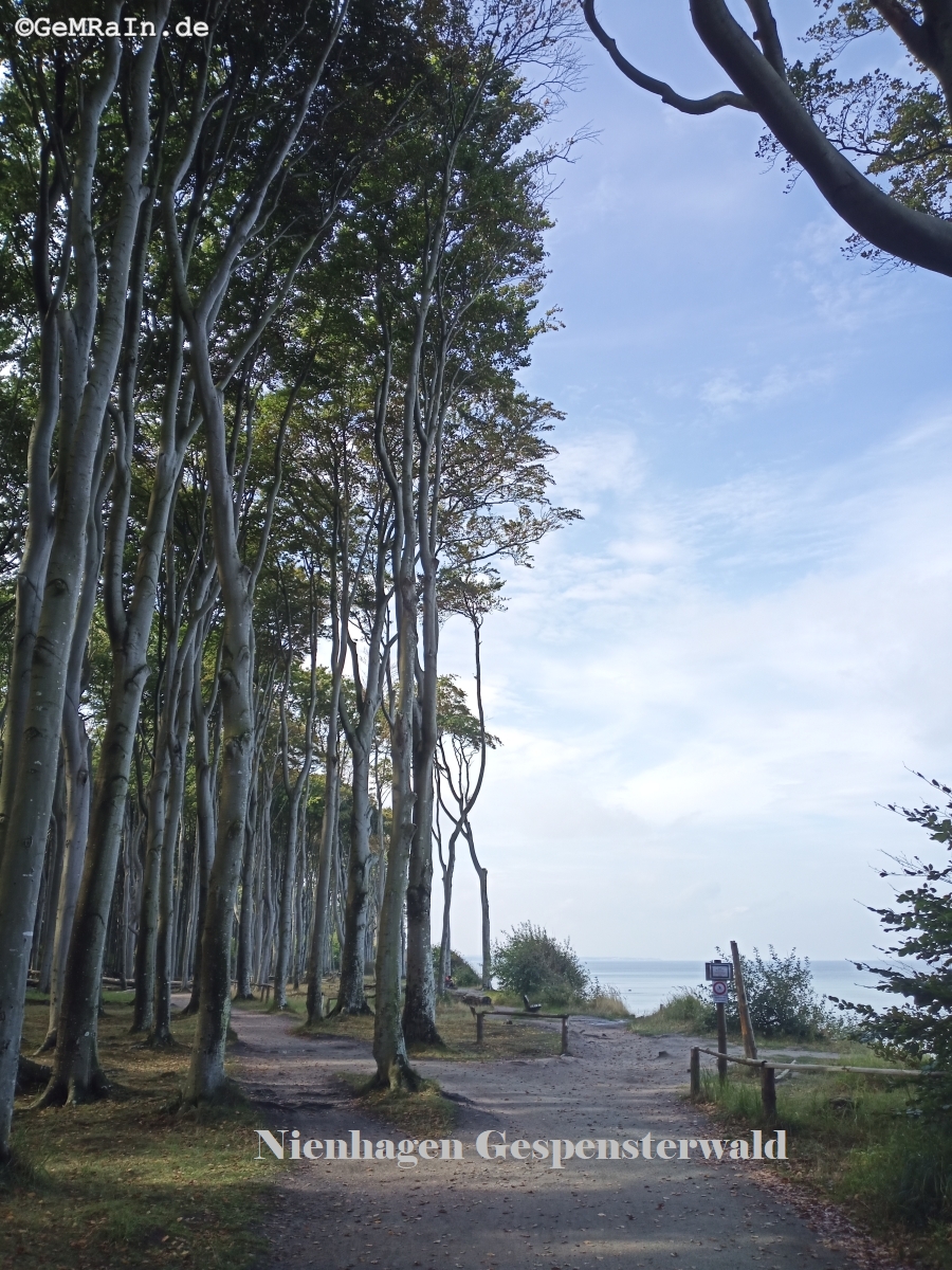 Prignitz2022-09-0704