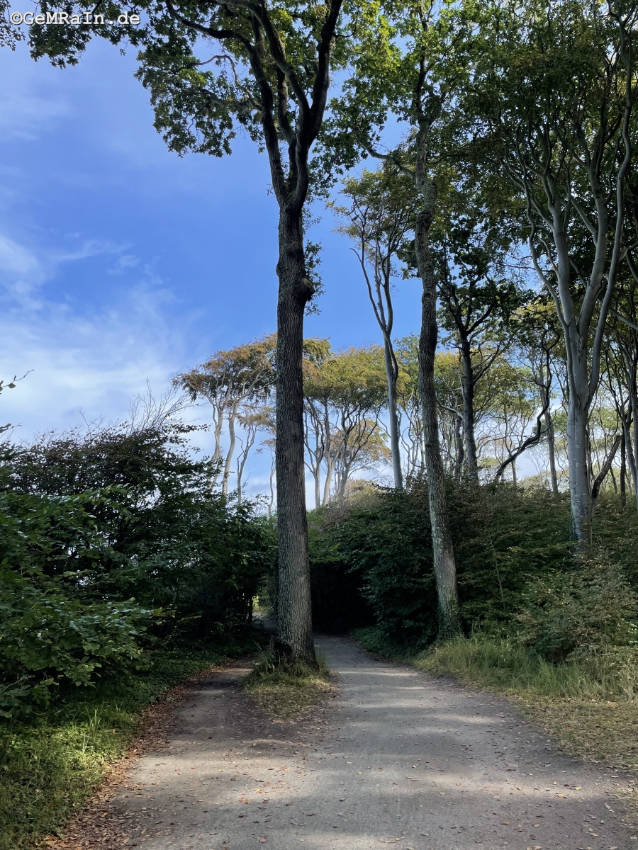 Prignitz2022-09-0705