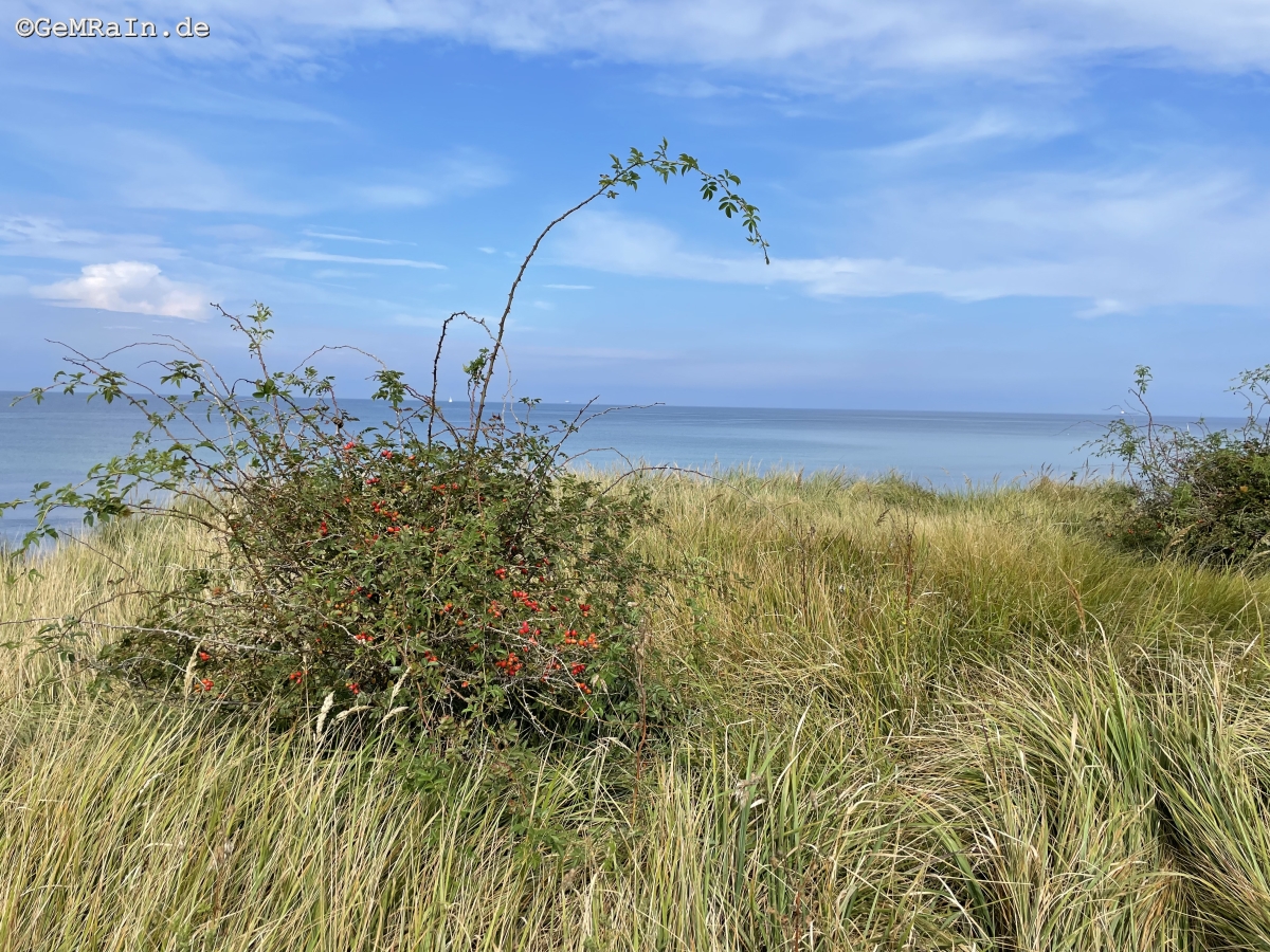 Prignitz2022-09-0717