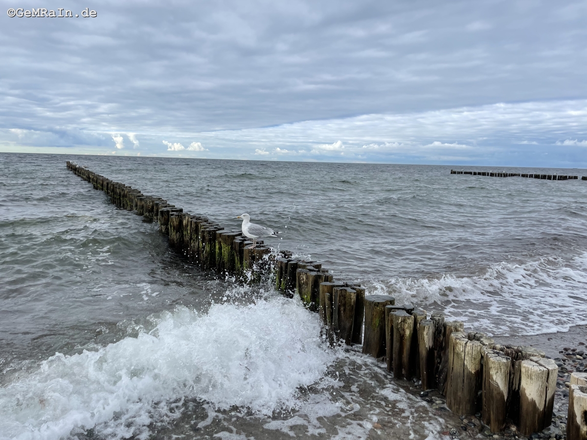 Prignitz2022-09-0844