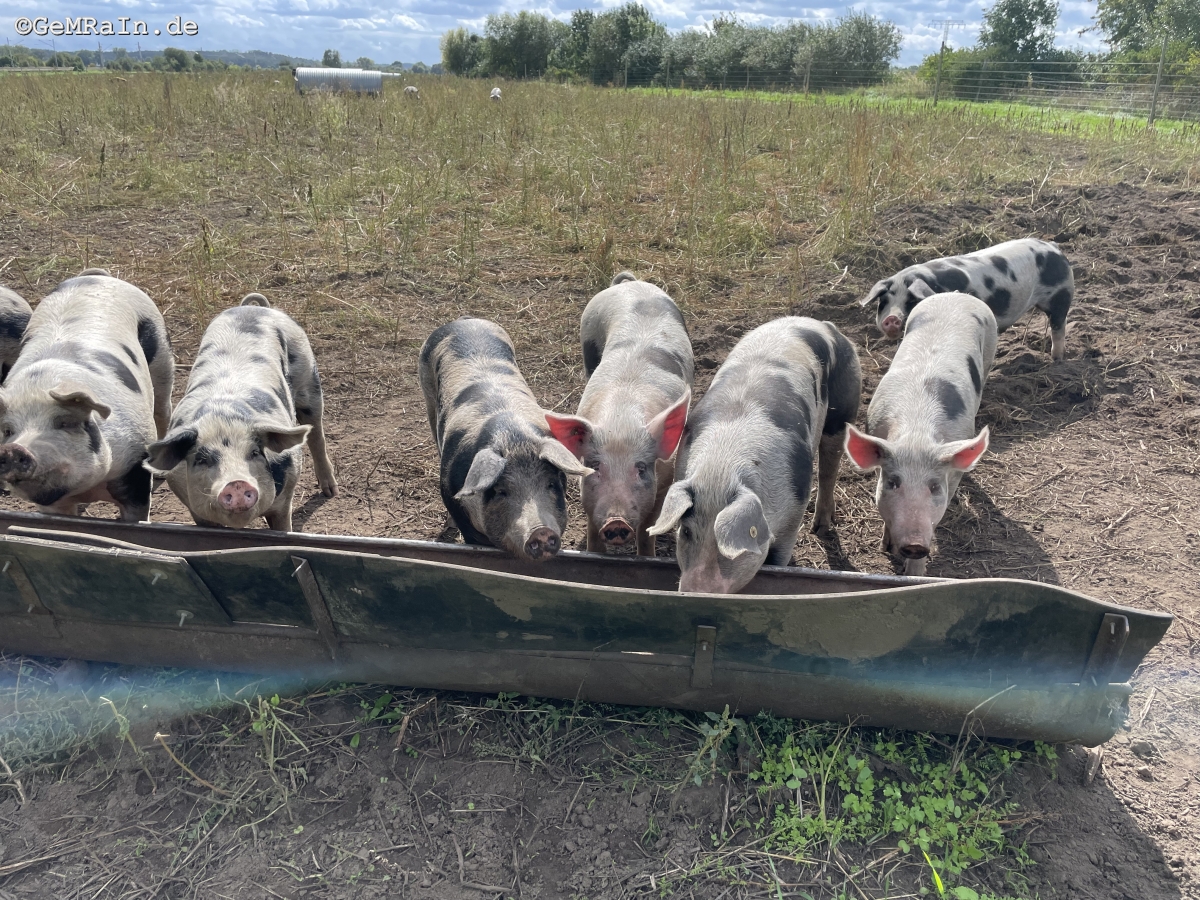 Prignitz2022-09-0964