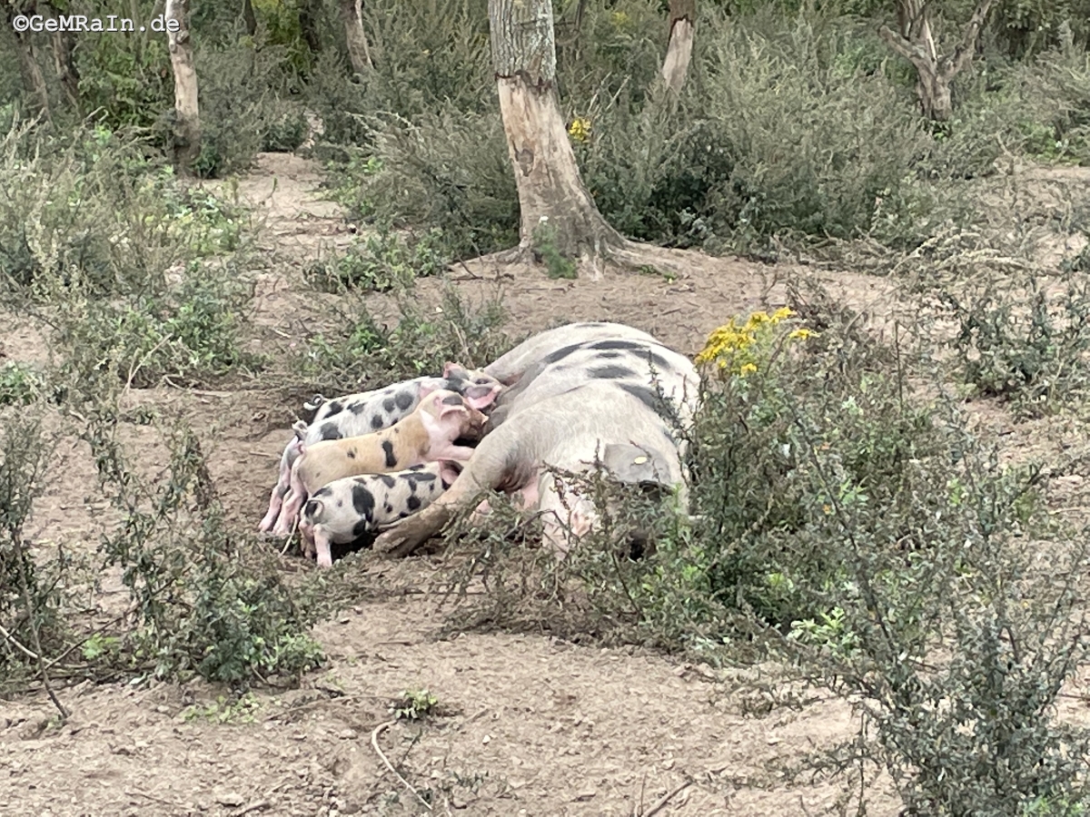 Prignitz2022-09-0988