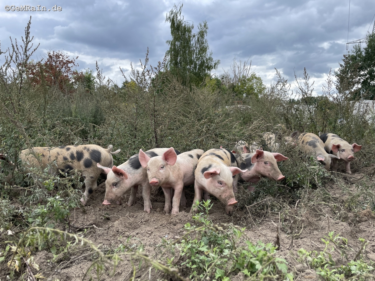 Prignitz2022-09-0993