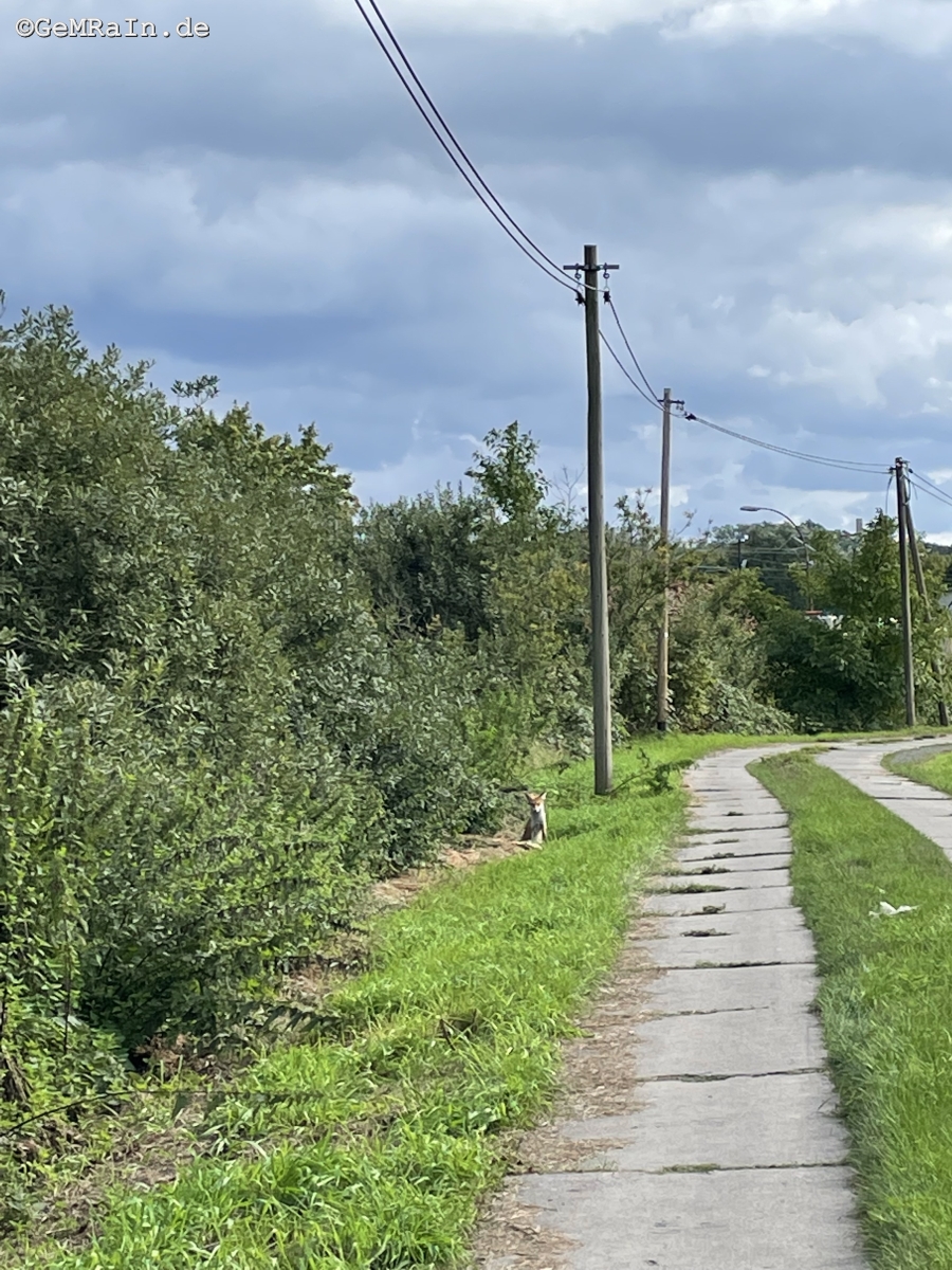 Prignitz2022-09-1001