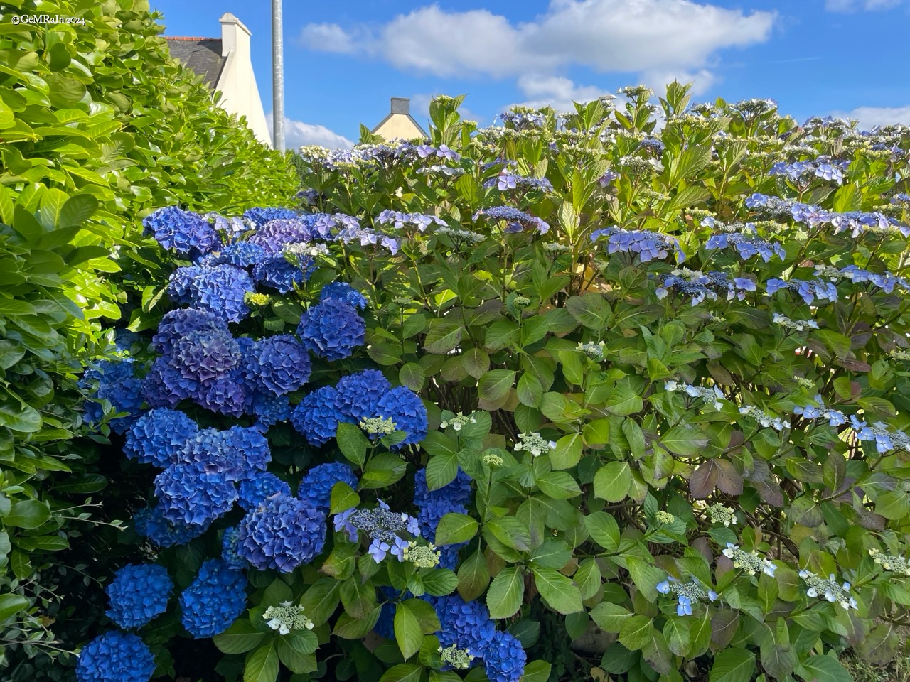 2024-IRL-01130 IMG_4196