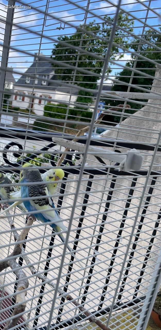 2024-IRL-01131 IMG_4198